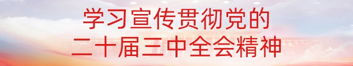 学习宣传贯彻党的二十届三中全会精神